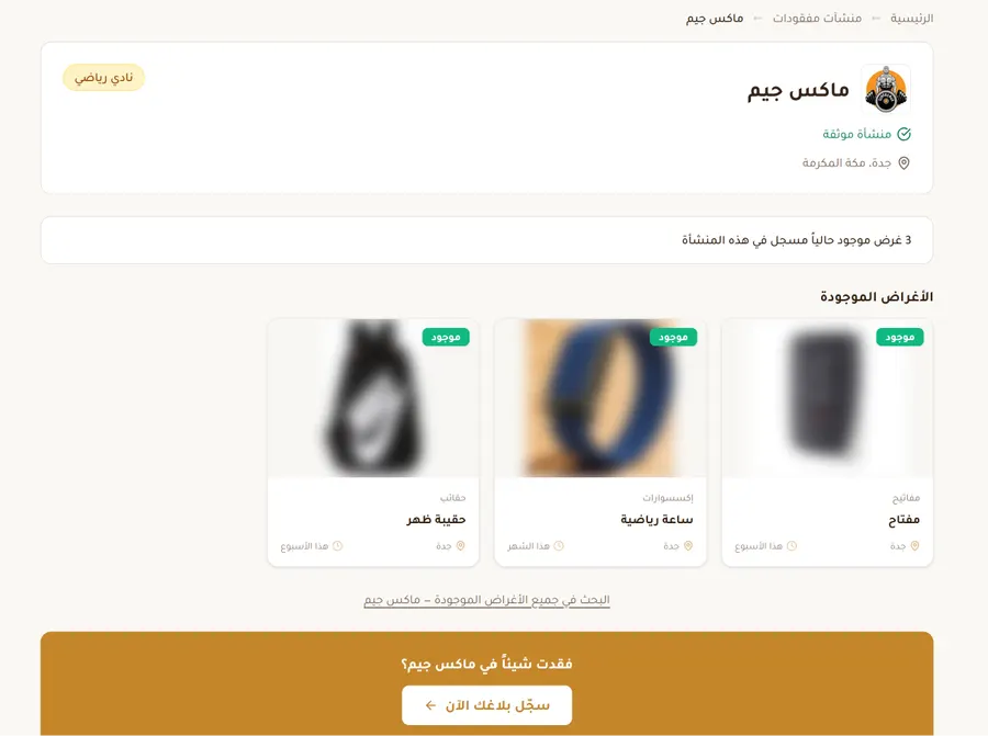 مثال لصفحة منشأة عامة على مفقودات تعرض الموجودات المنشورة